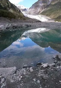 View of fox Glacier and a lake in the foreground