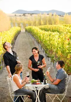 Group of friends enjoying a glass of wine in Martinborough vineyard