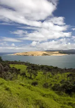 View of Hokianga bay and native forest