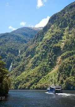 A boat cruising in Doubtful Sound