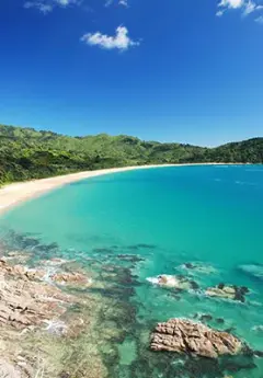 A sandy beach in Abel Tasman National PArk