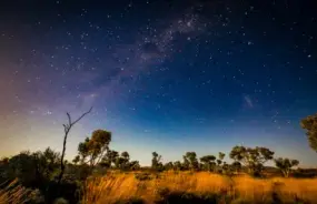 outback landscape