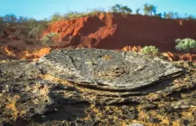 Dinosaur Tracks near Broome