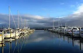 Sailing boats in Auckland Harbour