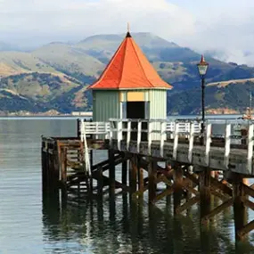 Explore the beautiful harbour and town of Akaroa