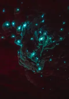 Small, green glowing dots sit on a rockface in a cave network