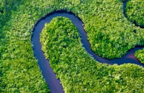 Daintree National Park