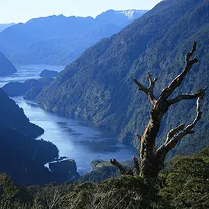 Take a cruise on Doubtful Sound