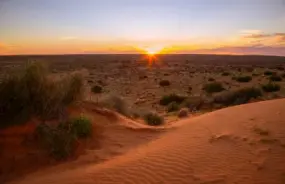 Birdsville Dunes