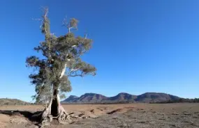 Flinders Ranges