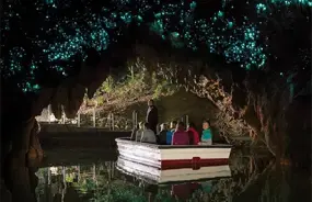 Glowworms above the boat in the Waitomo Caves