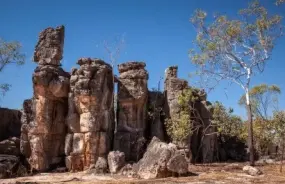 Litchfield National Park