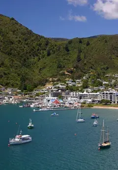 View of Picton Harbour and boats in the Cook Strait