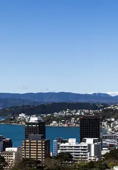 Aerial view of Wellington