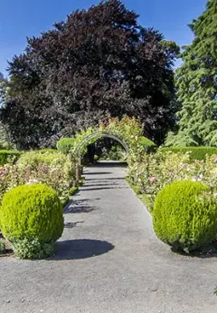 Christchurch Botanical Gardens on a sunny day