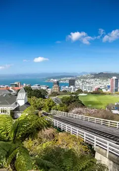 View down to Wellington CBD over the park from the cable car