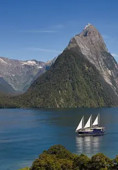 Boat cruising Milford Sound on a sunny day