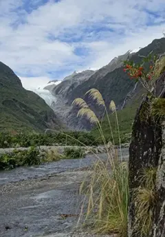 Looking up at Franz Josef Glacier from the river below