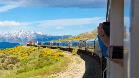 The TranzAlpine Train in Haast Pass