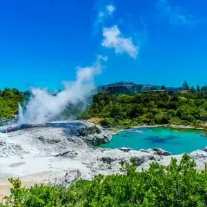 Rotorua Geyser