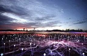 Field of Light