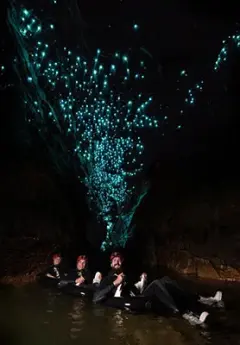 Group of travelers enjoying a glow worms tour in Waitomo caves