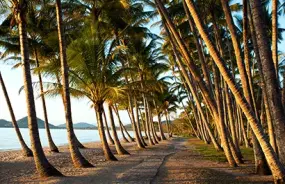 Palm Cove near Cairns