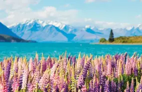 Lake Tekapo