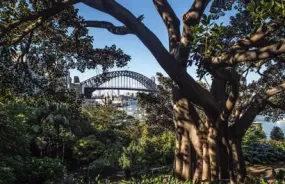 Wendy's Secret Garden, Sydney