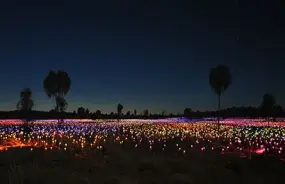 Field of Light