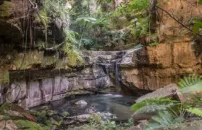 Carnarvon National Park Gorge