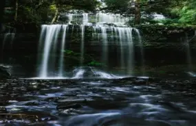 Mt Field National Park