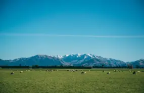 View near Christchurch