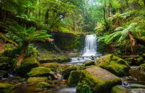 Cradle Mountain NP Waterfall