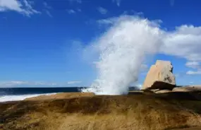 Bicheno Blowhole