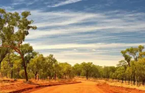 Forsayth Outback roads