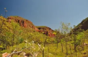 Emma Gorge