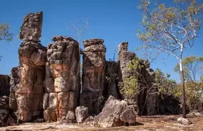 Litchfield National Park