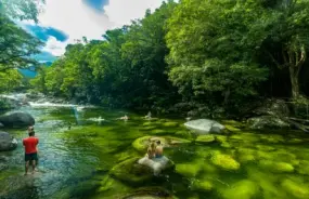 Mossman Gorge