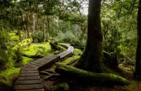 Cradle Mountain National Park