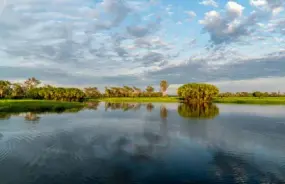 East Alligator River