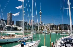 Auckland docks