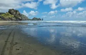 Raglan Beach