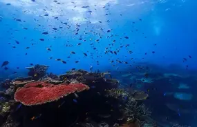 Great Barrier Reef