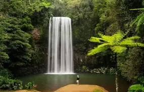 Millaa Millaa Falls