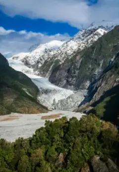 Franz Josef Glacier surrounded by lush green forest.