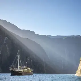 Milford Sound Scenic Cruise