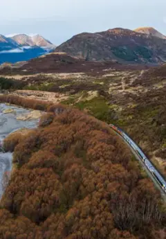 An aerial view of the TranzAlpine within a forest, approaching a river and mountain ranges