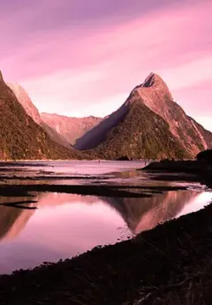 Milford Sound and pink sky at dusk