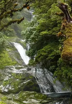 One of the many waterfalls of Fiordland National Park